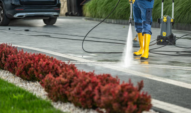 Best Exterior Home Cleaning  in Richmond Heights, OH
