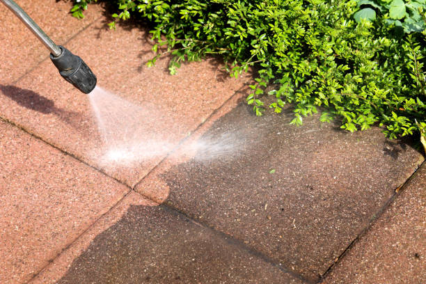 Best Roof Pressure Washing  in Richmond Heights, OH